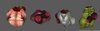 organs.jpg organs.jpg
