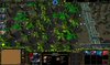 WC3ScrnShot_041611_171609_01.jpg