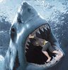 sharklol.jpg