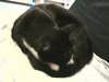 Foto0114.jpg