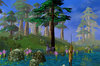Bosque - 19.jpg