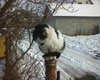 DSC00003.JPG