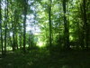 DSC00641.JPG
