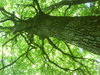 DSC00645.JPG