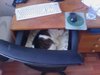 IMAG0037.jpg