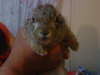 DSC00128.JPG