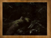 Que'Na.png Que'Na.png
