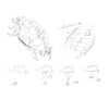 zerg ship 1.png