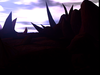 WC3ScrnShot_032711_115644_01.png