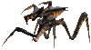 starship_troopers_bug.gif