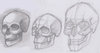 Three Godawful Skulls.jpg