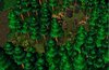 Forest Village Bandit Camp.jpg