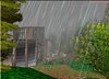UndertheRain.jpg