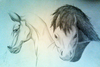 horsies.png