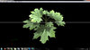 Planar screen material.jpg