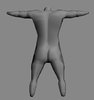 Body 2.jpg