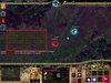 Bug.jpg