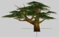 Tree(NewVariation)_01.jpg