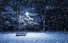 winter bench wallpaper-820673.jpg