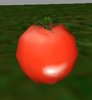 Tomato.jpg