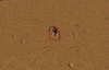 2.png 2.png