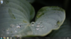 desktop.png