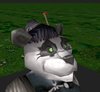 head.JPG