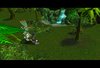 forest.JPG