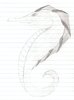 scan0001.jpg