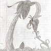 scan0002_4.jpg
