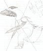 scan0002_5.jpg