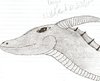 scan0003_2.jpg