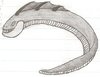 scan0004.jpg