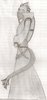 scan0011.jpg
