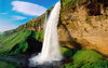 naturewallpaper1920x120.jpg