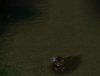 Picture-In-Game001.jpg