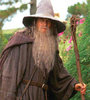 gandalf.jpg