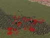 BloodSplats.jpg
