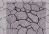 Shading 1.jpg