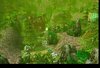 WC3ScrnShot_092907_221243_05.jpg
