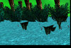 Backwards2.jpg