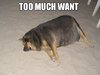 too-much-want.jpg