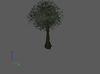 Tree1.png