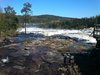 DSC_0013.jpg