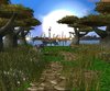Island.JPG
