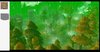 WC3ScrnShot_080913_011849_05.jpg