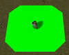 GreenScreenPNG.png