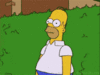 Homer Simpson - Fade to Bush.gif