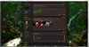 450pxborderIMG.jpg
