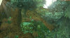Heroes Tale Terrain Screenshot 1 Remake.jpg